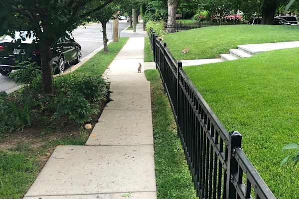 Alexandria, Virginia, United States