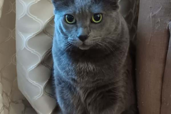 Ottawa, Ontario, Canada