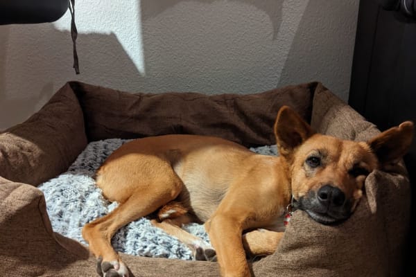 Copenhagen, Capital Region, Denmark