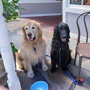 Glenelg East, South Australia, Australia