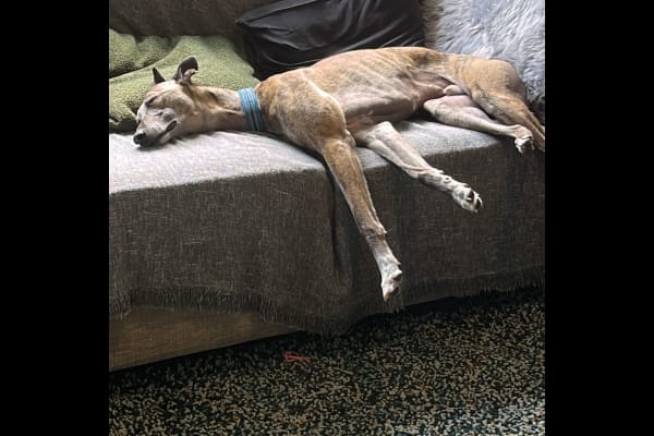 Dublin, Leinster, Ireland