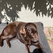 West Leederville, Western Australia, Australia