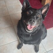 Joondalup, Western Australia, Australia