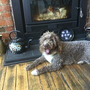 Invermay, Tasmania, Australia