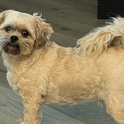 Maida Vale, Western Australia, Australia