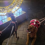 Yokine, Western Australia, Australia