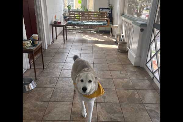 New Orleans, Louisiana, United States