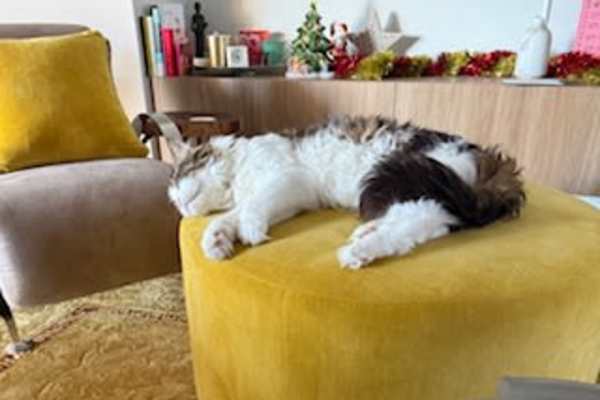 Perth, Western Australia, Australia