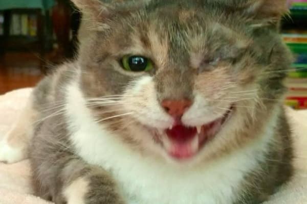 Lawrence, Kansas, United States