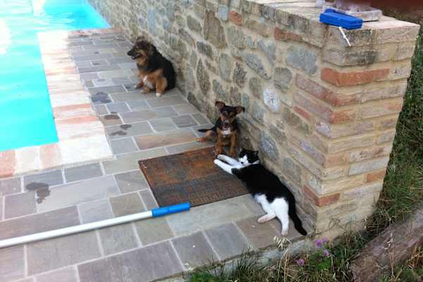 Gualdo, The Marches, Italy