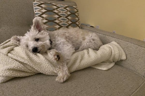 Topsfield, Massachusetts, United States