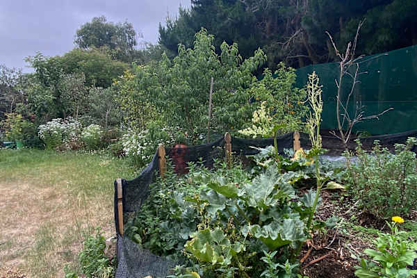 Rangiora, Canterbury, New Zealand