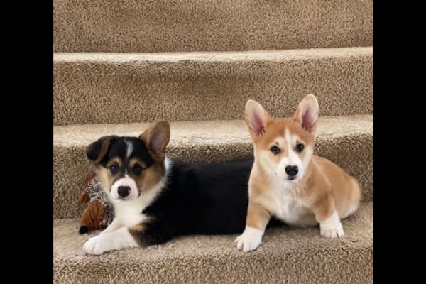 St. Louis, Missouri, United States