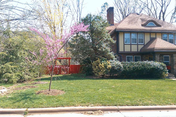 Asheville, North Carolina, United States