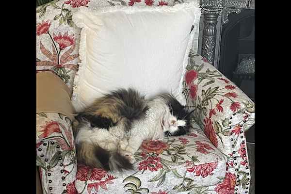 Grand Rapids, Michigan, United States