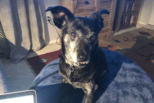 Wicklow, Leinster, Ireland