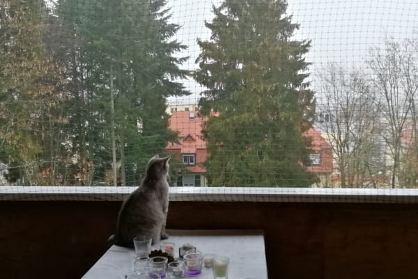 Bad Homburg vor der Höhe, Hesse, Germany