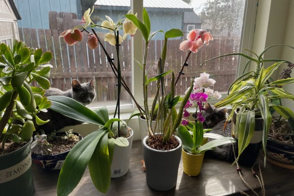 Bend, Oregon, United States