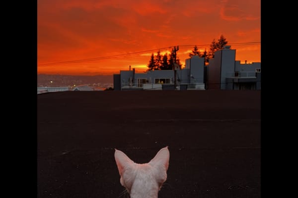 Seattle, Washington, United States