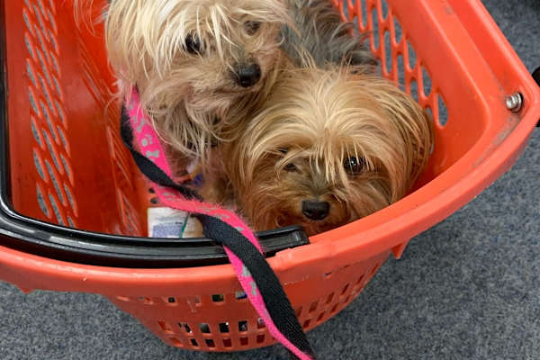 Boston, Massachusetts, United States