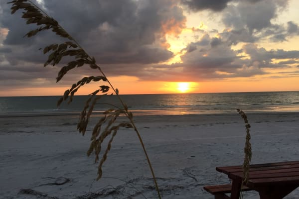 Indian Shores, Florida, United States