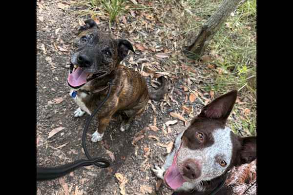 Brisbane, Queensland, Australia