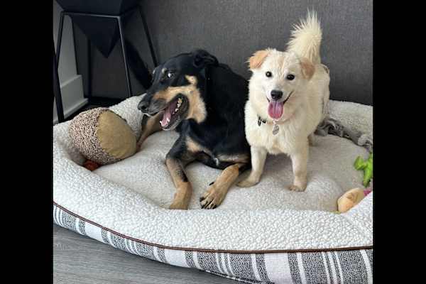 North York, Ontario, Canada