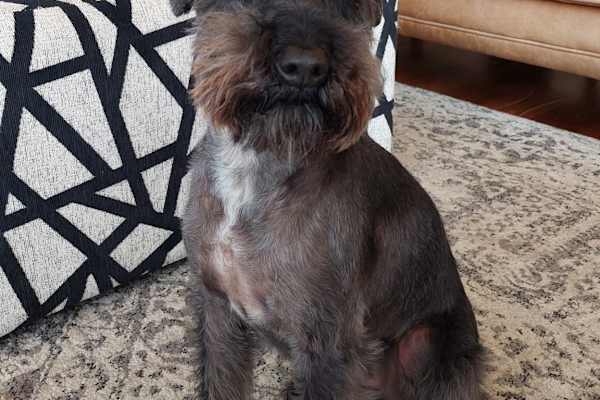 Norwich, England, United Kingdom