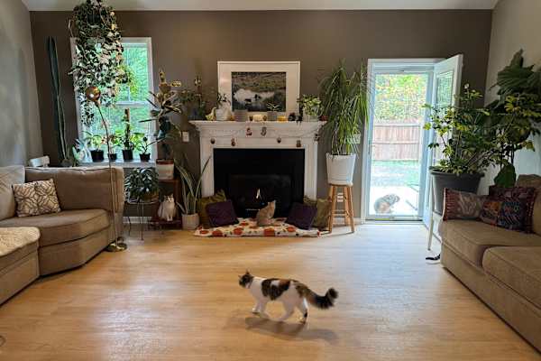 Asheville, North Carolina, United States