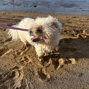 Bohle Plains, Queensland, Australia