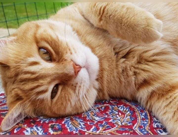 Araux, Nouvelle-Aquitaine, France