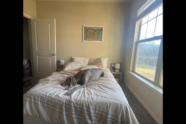 Asheville, North Carolina, United States