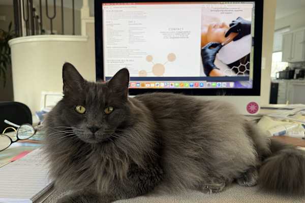 Reno, Nevada, United States