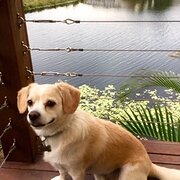 Robina, Queensland, Australia