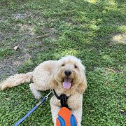 Lota, Queensland, Australia