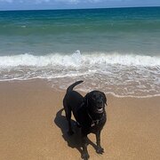 Madora Bay, Western Australia, Australia