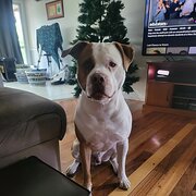 Crestmead, Queensland, Australia