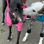 Kensington, Victoria, Australia