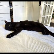 Coogee, New South Wales, Australia