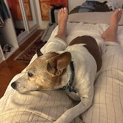 Moorooka, Queensland, Australia