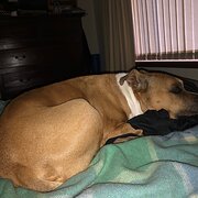 Kewdale, Western Australia, Australia