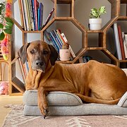 Googong, New South Wales, Australia