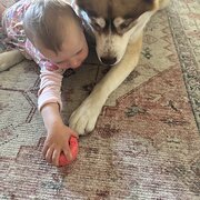 Belmont North, New South Wales, Australia