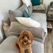 Mirfield, Yorkshire and the Humber, UK