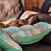 Albury, New South Wales, Australia