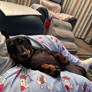 Goolwa, South Australia, Australia