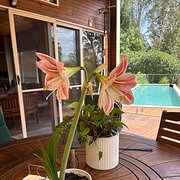 Eerwah Vale, Queensland, Australia