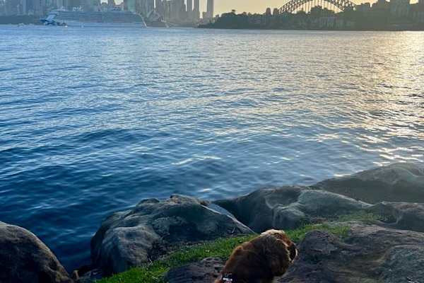 Sydney, New South Wales, Australia