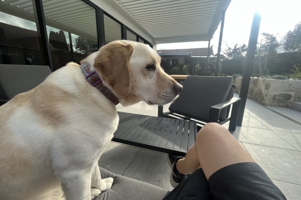 Sydney, New South Wales, Australia