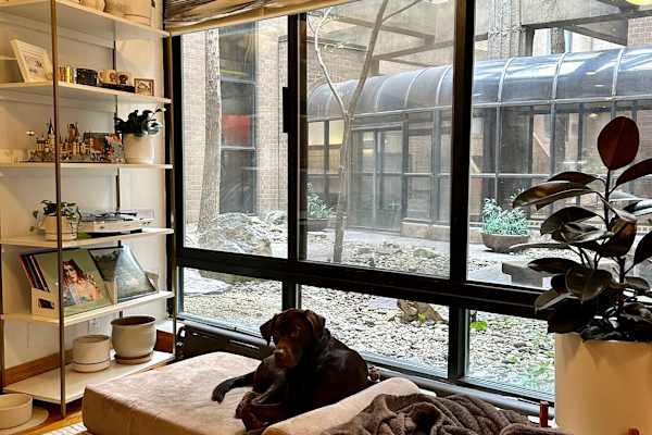 Manhattan, New York, United States